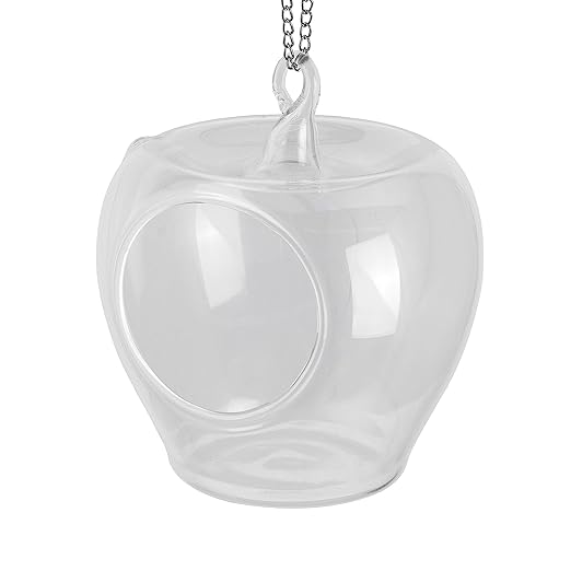 Glass Apple borosil, Tea Light, Hanging candles, Planters for Indoor and Outdoor Decoration pots for Plants Home Decor, with metal hanging chain, set of 4