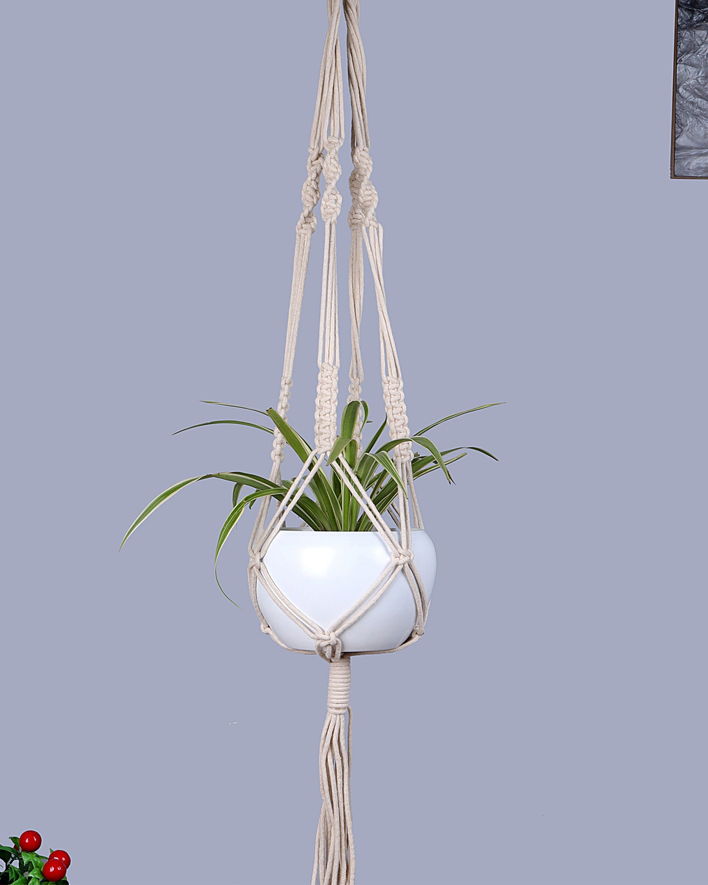 Macreme Hanging Planter Large Macrame with Pot Pack of 1