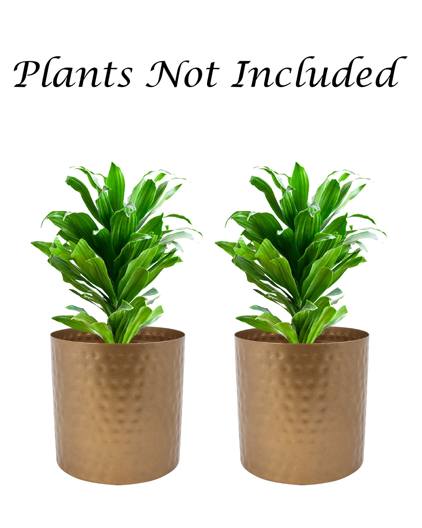 6 Inch Plant Pot, Hammered Style Gold Tone Metal Succulent Planter Pot Set of 2