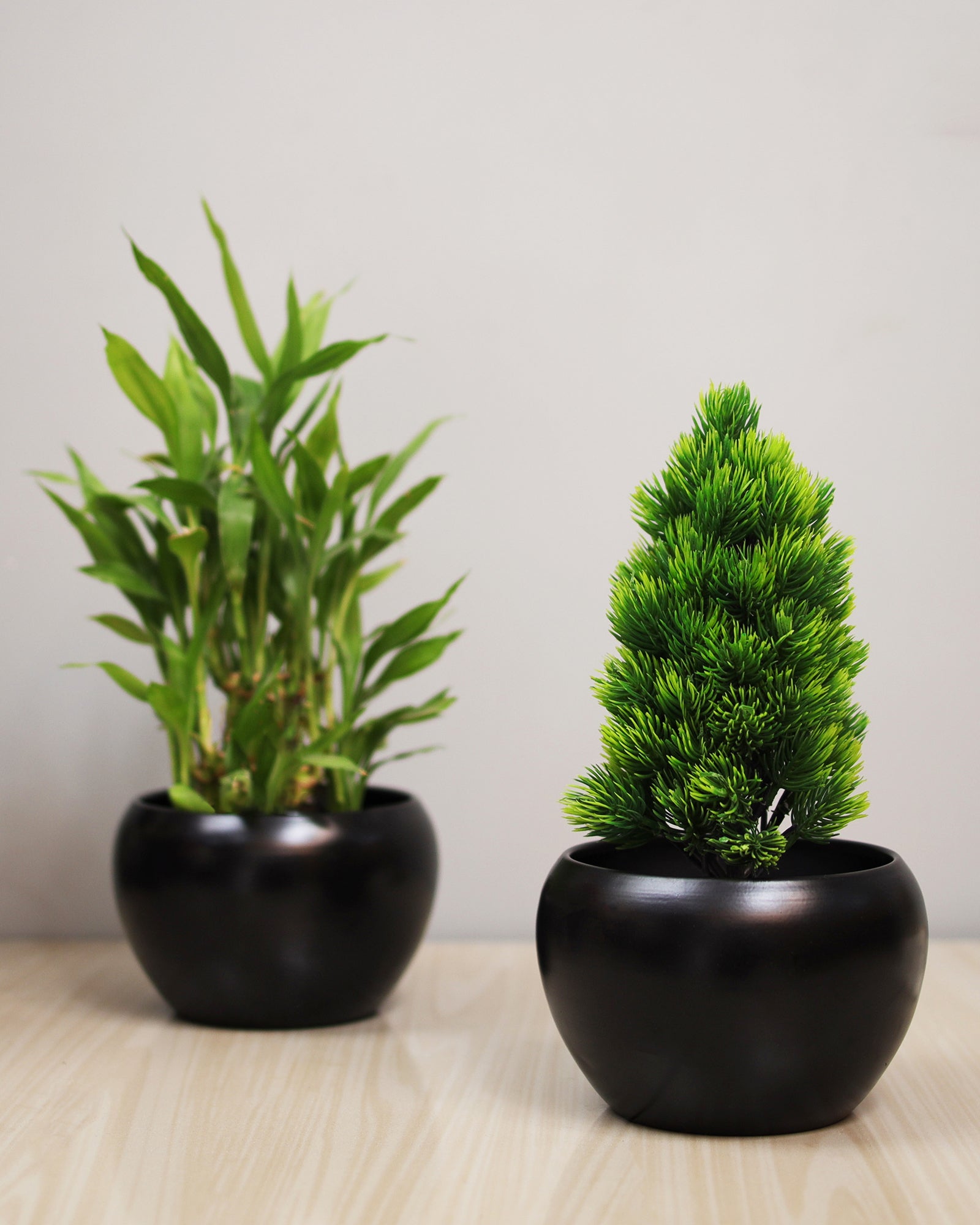 black succulent pot Black Metal Flower Pot Succulent Plant Pot Indoor and Outdoor Set of 2 – Homesake.in