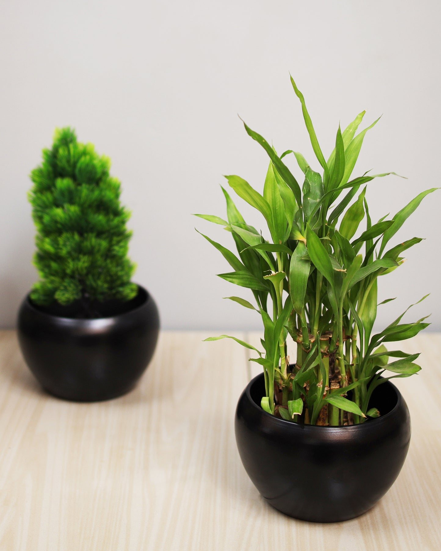 Black Metal Flower Pot Succulent Plant Pot Indoor and Outdoor Set of 2