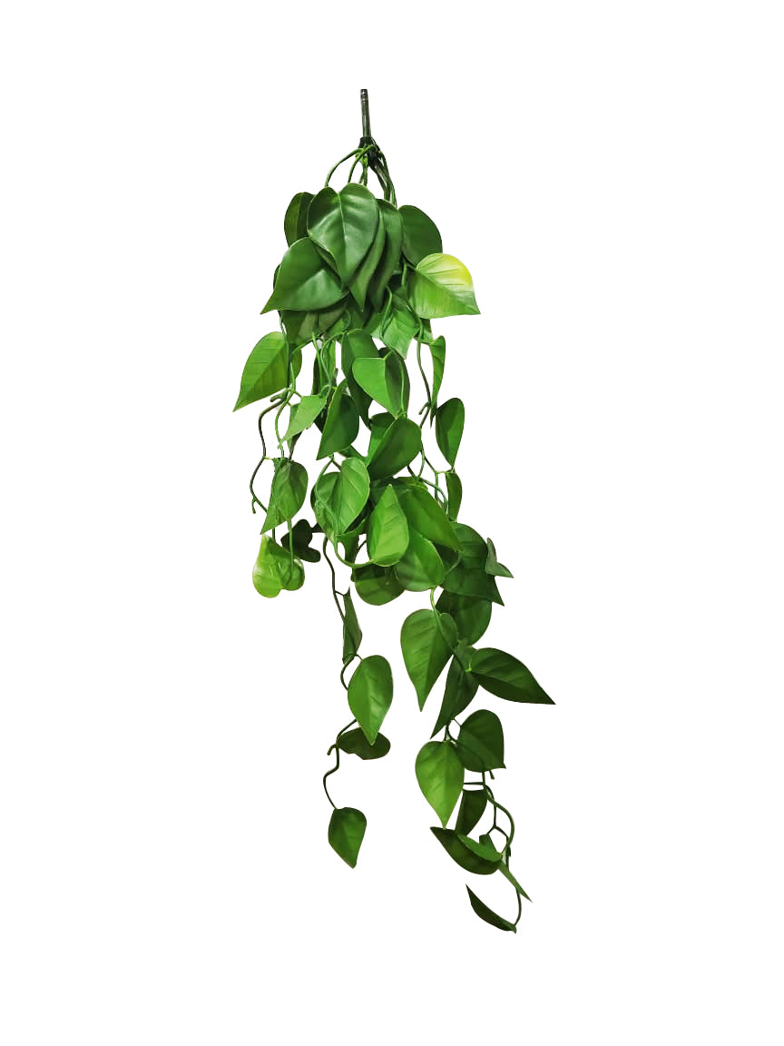 Hanging Plant Fake Money Hanging Plants with Metal Pots, Artificial, Faux Anthurium Leaf Hanging Basket Plant Vine Creeper Wall Home Room Indoor Outdoor Decor