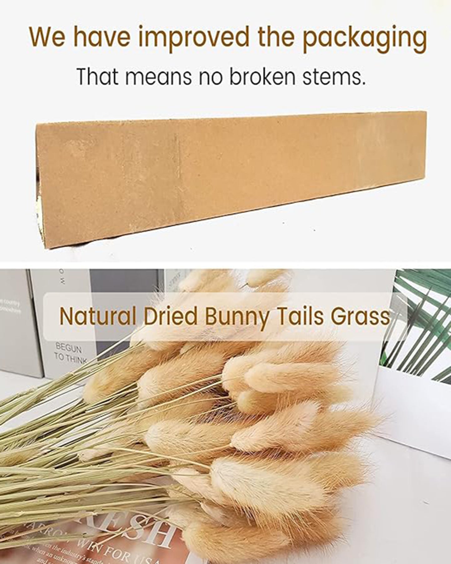 Bunny Tails Dried Flowers, Dried Pampas Grass Bouquet, Boho Table Decor, White Pampas Grass Small, Dried Bunny Tails, Pampas Grass for Wedding, Home, Rustic Party, Baby Shower Decorations, Burnt Coffee 30 pcs and 60 Pcs