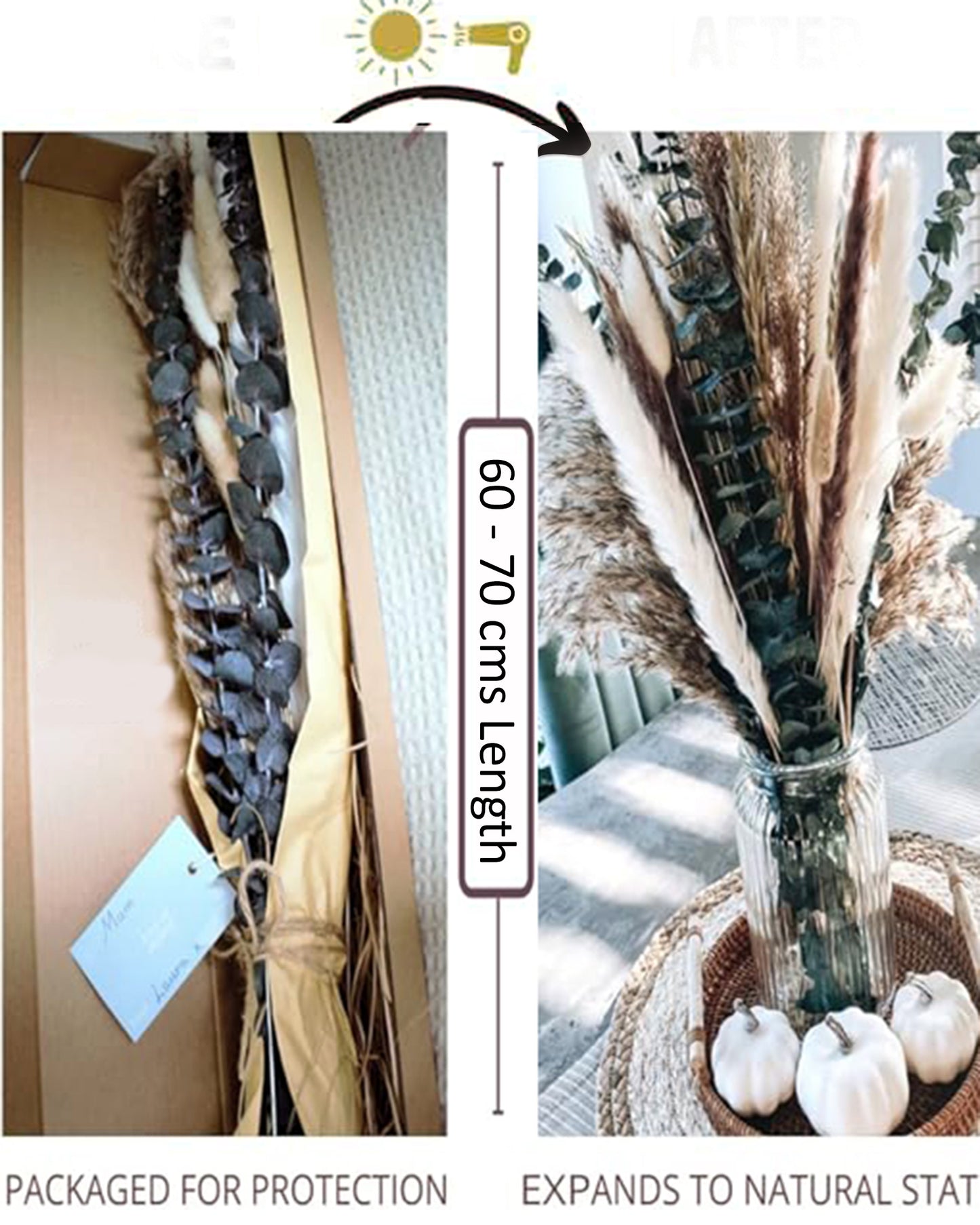 Mixed Dried Pampas Natural Grass Decor DIY Boho Natural Dried Flowers Eucalyptus Decor Dry Dried Plants Bouquet for Vase Home Floral Arrangements Decorations for Home Wedding 50, 70 & 100, Pcs