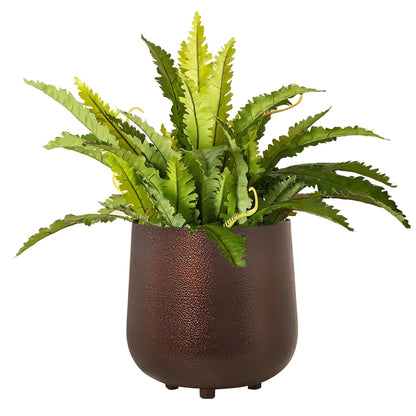 Homesake® Metal Flower Pots Planter DistressToned Garden Planters, 7.5/7 Inch Indoor Round Plant Containers, Pack 2 Cactus Greens Pots with Drainage Hole