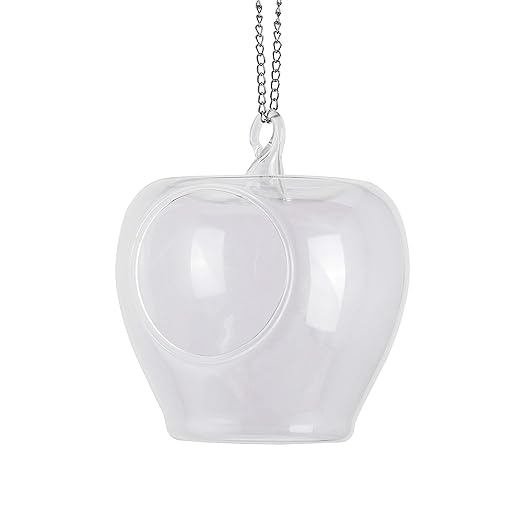Glass Apple borosil, Tea Light, Hanging candles, Planters for Indoor and Outdoor Decoration pots for Plants Home Decor, with metal hanging chain, set of 2