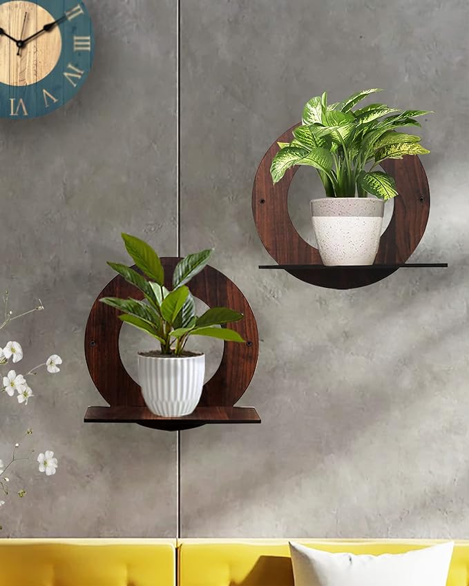 Wall Planters,Modern Succulent Planter Wood MDF Hanging Planter for Herb,Small Cactus Perfect for Balcony, Room and Patio Decor, Round set of 2