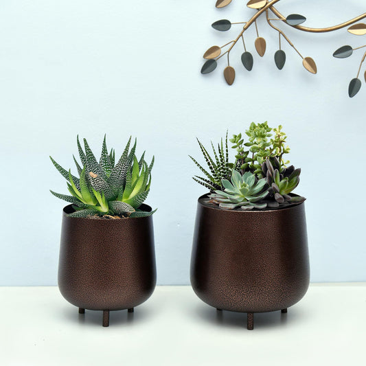 Homesake® Metal Flower Pots Planter DistressToned Garden Planters, 7.5/7 Inch Indoor Round Plant Containers, Pack 2 Cactus Greens Pots with Drainage Hole