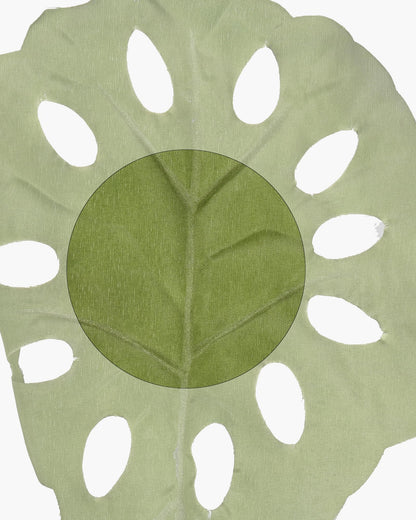 Homesake® Faux Long Monstera Leaf Stems, Set of 2 Artificial Branches with 5 Sticks Each, Pot Not Included, Decorative Plant for Vase, Tabletop, Living Room, Home Décor, Green