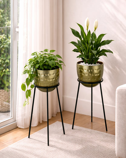 Metal Hammered Plant Pot with Stand, Set of 2 |Golden Decorative Modern Indoor Planter | Office Desk Pot with Black Metal Stand for Orchids Herbs Cacti Succulents
