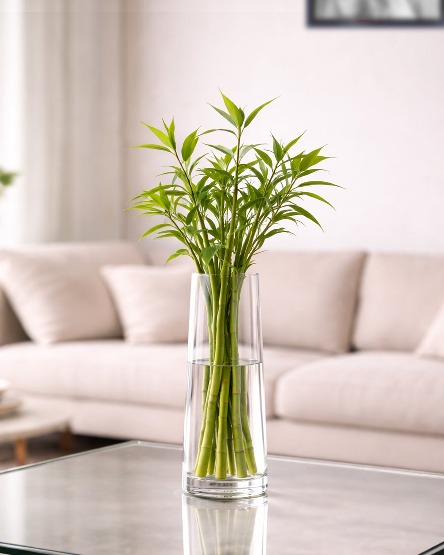 Glass Vase for Plants Flowers (Transparent, 29 cm X 8 cm) - Living Room Glass Vase Pot for Water Plants Home Décor Dining Table Decoration Bedroom Hall Aesthetic House Warming Gift, Stem Vase