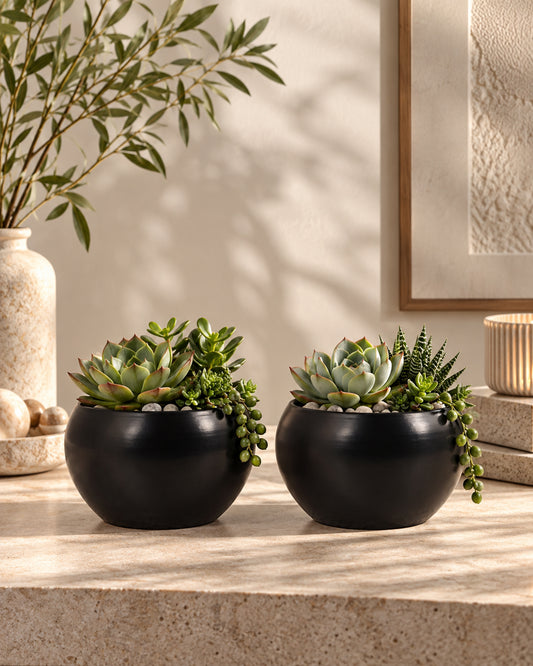 Black Metal Flower Pot Succulent Plant Pot Indoor and Outdoor Set of 2