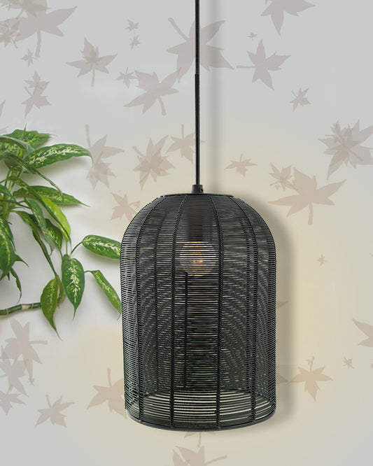 Industrial Metal Hanging Pendant Light, Wire mesh Metal Cage, Black