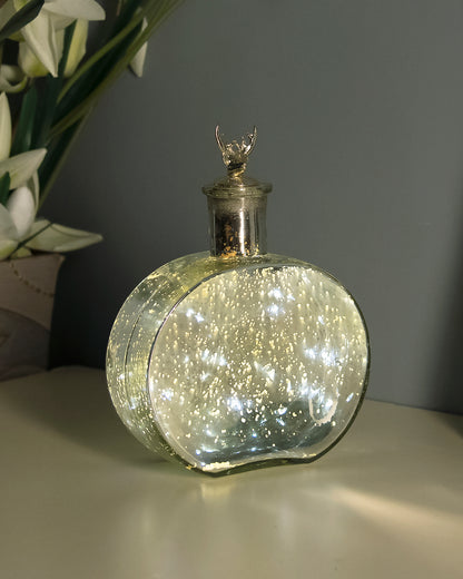 Mercury Silver Round Bottle Copper Star String Lights , Warm White LED Fairy Lights