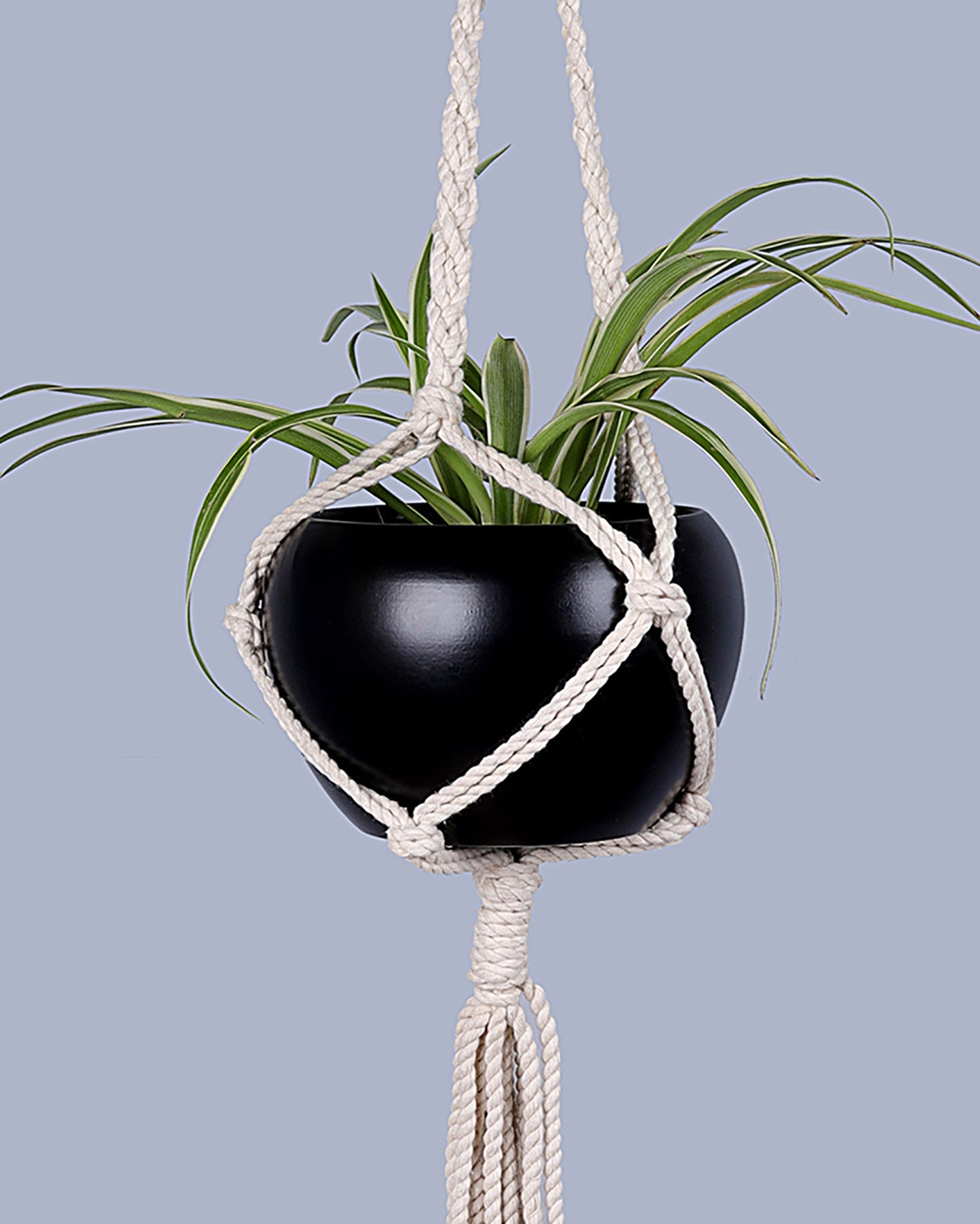 Hanging Planter Medium Macrame Planter With Pot Pack of 2