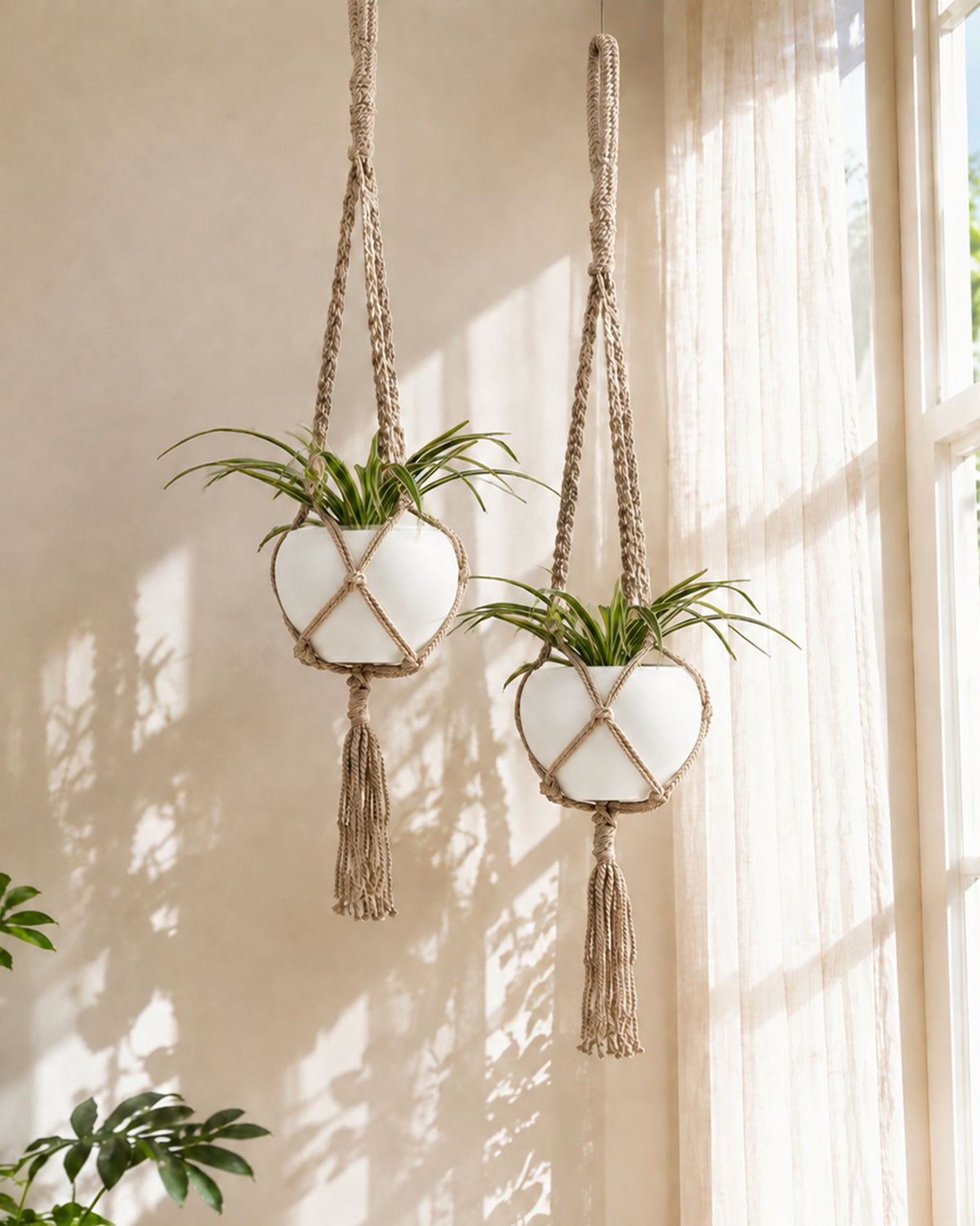 Hanging Planter Medium Macrame Planter With Pot Pack of 2