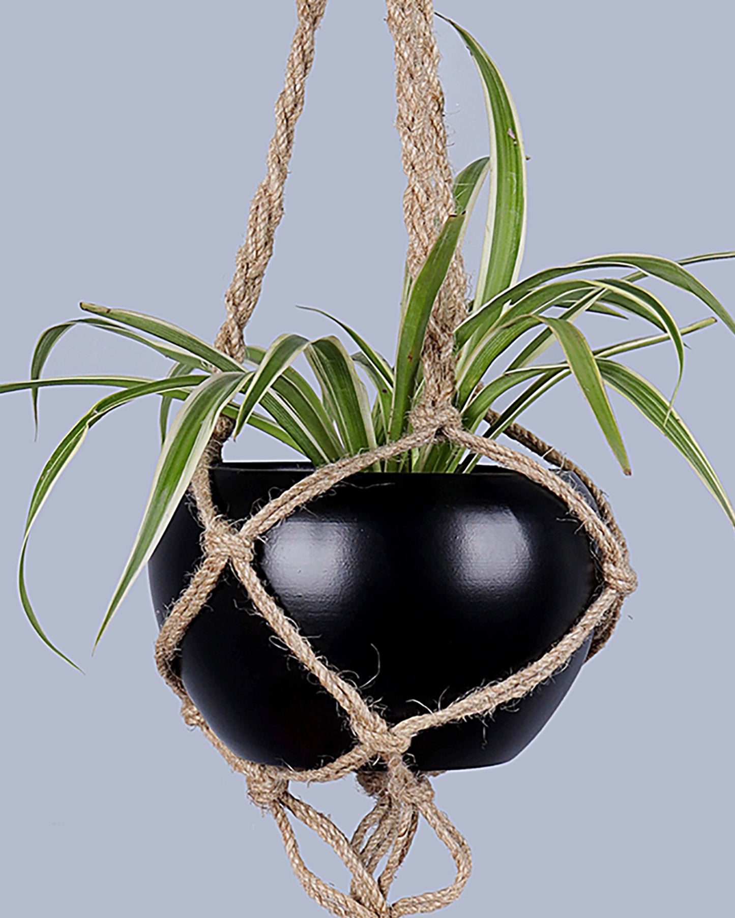 Hanging Macrame Planter Medium Jute with Pot, Pack of 2