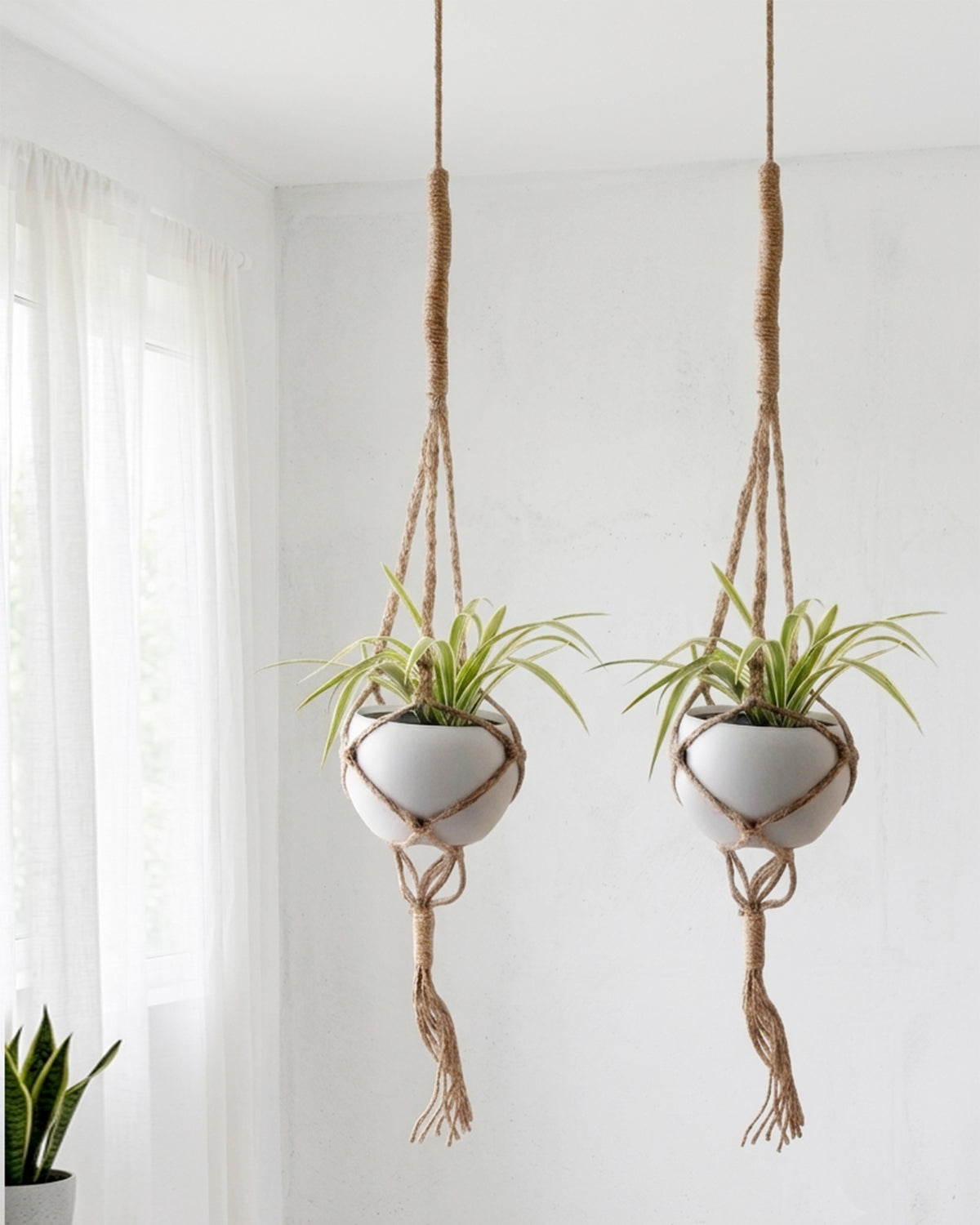 Hanging Macrame Planter Medium Jute with Pot, Pack of 2