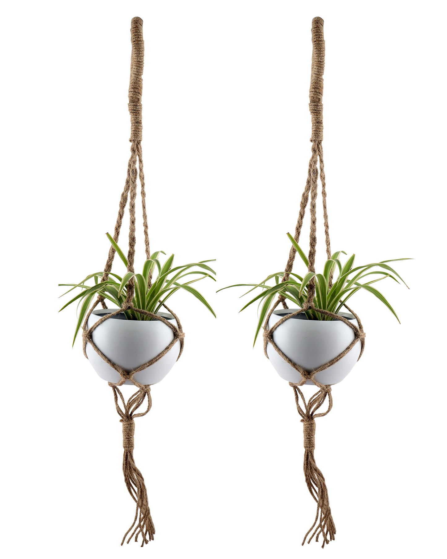 Hanging Macrame Planter Medium Jute with Pot, Pack of 2