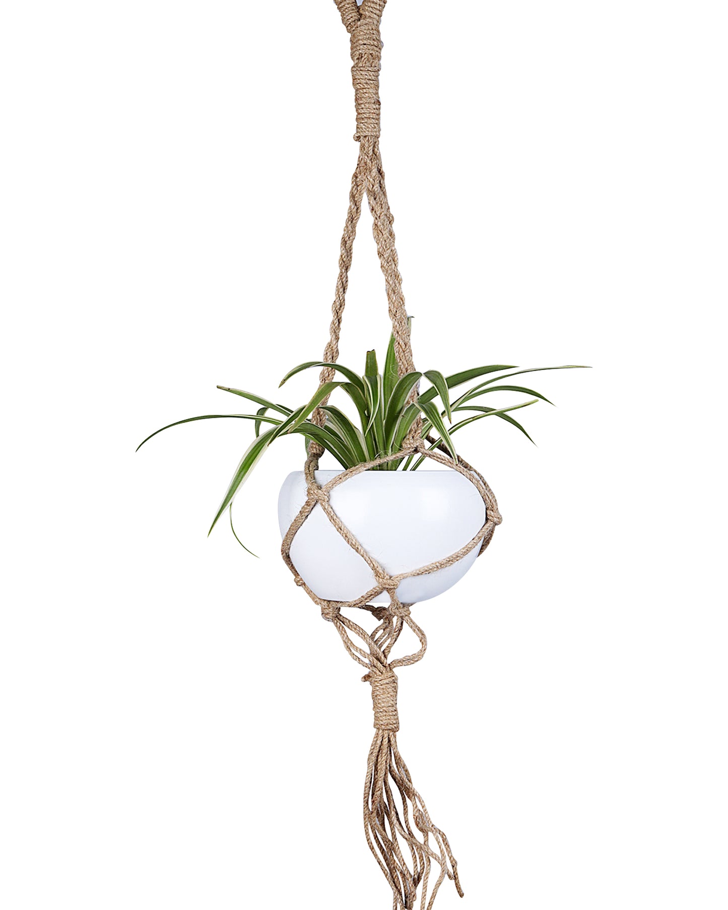 Hanging Macrame Planter Medium Jute with Pot, Pack of 2