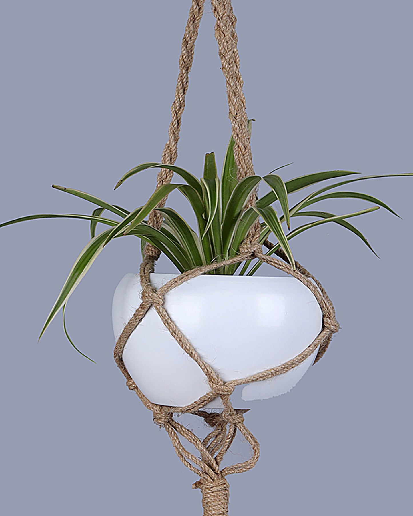 Hanging Macrame Planter Medium Jute with Pot, Pack of 2