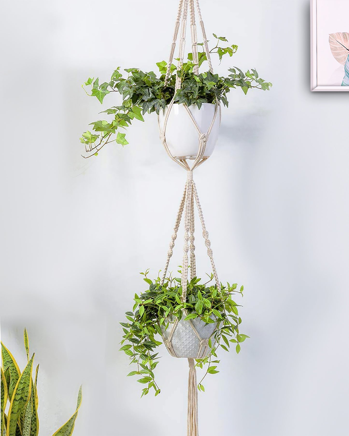 two tier macrame plant hanging detail Macrame plant hanger, plant hangers indoor, hanging planters, Handmade – Homesake.in