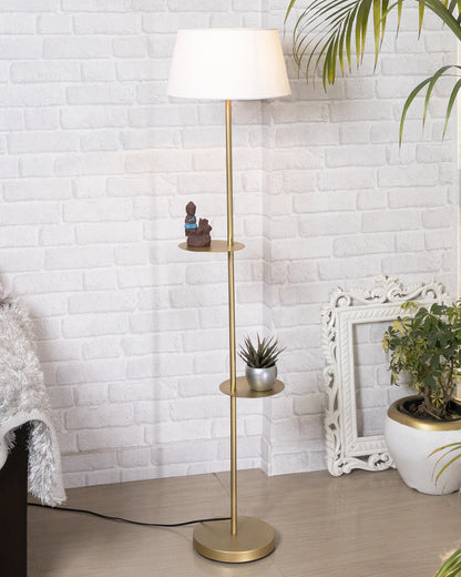 Contemporary Duo Shelf Metal Floor Lamp, Bedside Living room Office Home Decor Lamp, Golden