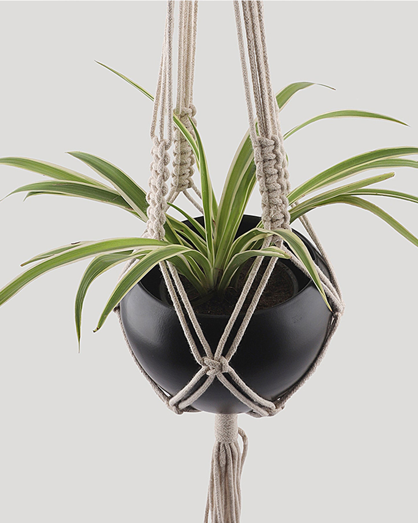 Macreme Hanging Planter Large Macrame with Pot Pack of 1