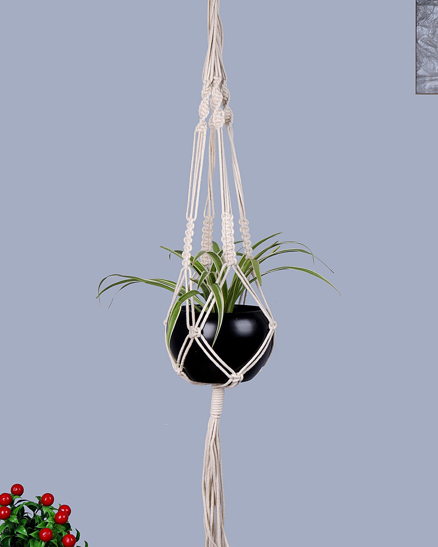 Macreme Hanging Planter Large Macrame with Pot Pack of 1