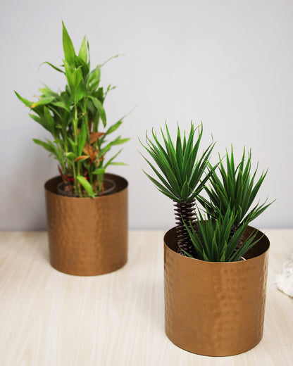 6 Inch Plant Pot, Hammered Style Gold Tone Metal Succulent Planter Pot Set of 2