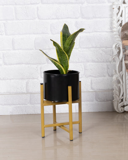 10" Mid Century Golden Modern Small Planter with Stand, with Black Pot, Plant Holder for Indoor Snake Plants Flowers