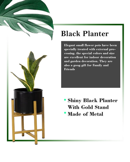 11" Mid Century Golden Modern Medium Planter with Stand, with Black Pot, Plant Holder for Indoor Snake Plants Flowers