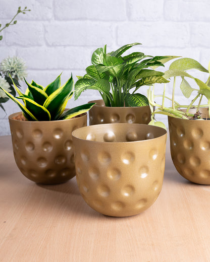 Country Style Belly Bucket Planters antique golden, set of 4