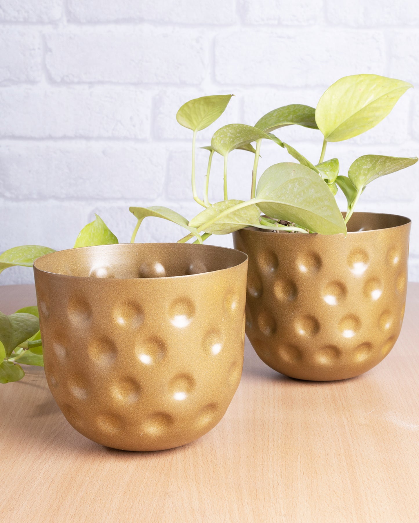 Country Style Belly Bucket Planters antique golden,set of 2