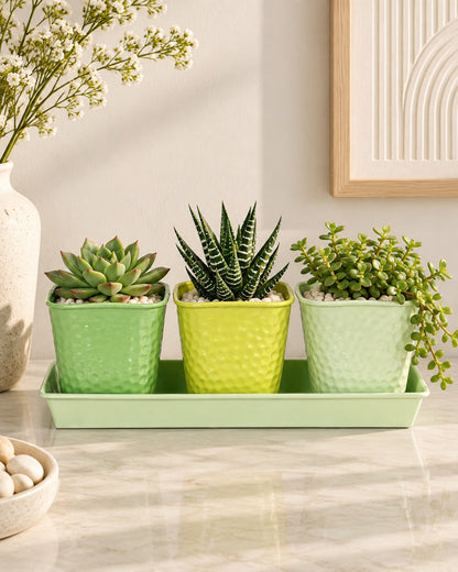 Herb Pot Planter Set with Tray for Indoor Garden or Outdoor Use,Metal Succulent Potted Planters for Kitchen, (Set of 3, 4.25” x 4” Planters on 12.5” x 4" Tray)