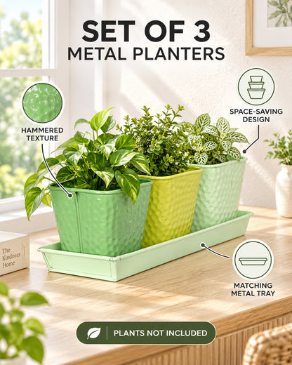 Herb Pot Planter Set with Tray for Indoor Garden or Outdoor Use,Metal Succulent Potted Planters for Kitchen, (Set of 3, 4.25” x 4” Planters on 12.5” x 4" Tray)