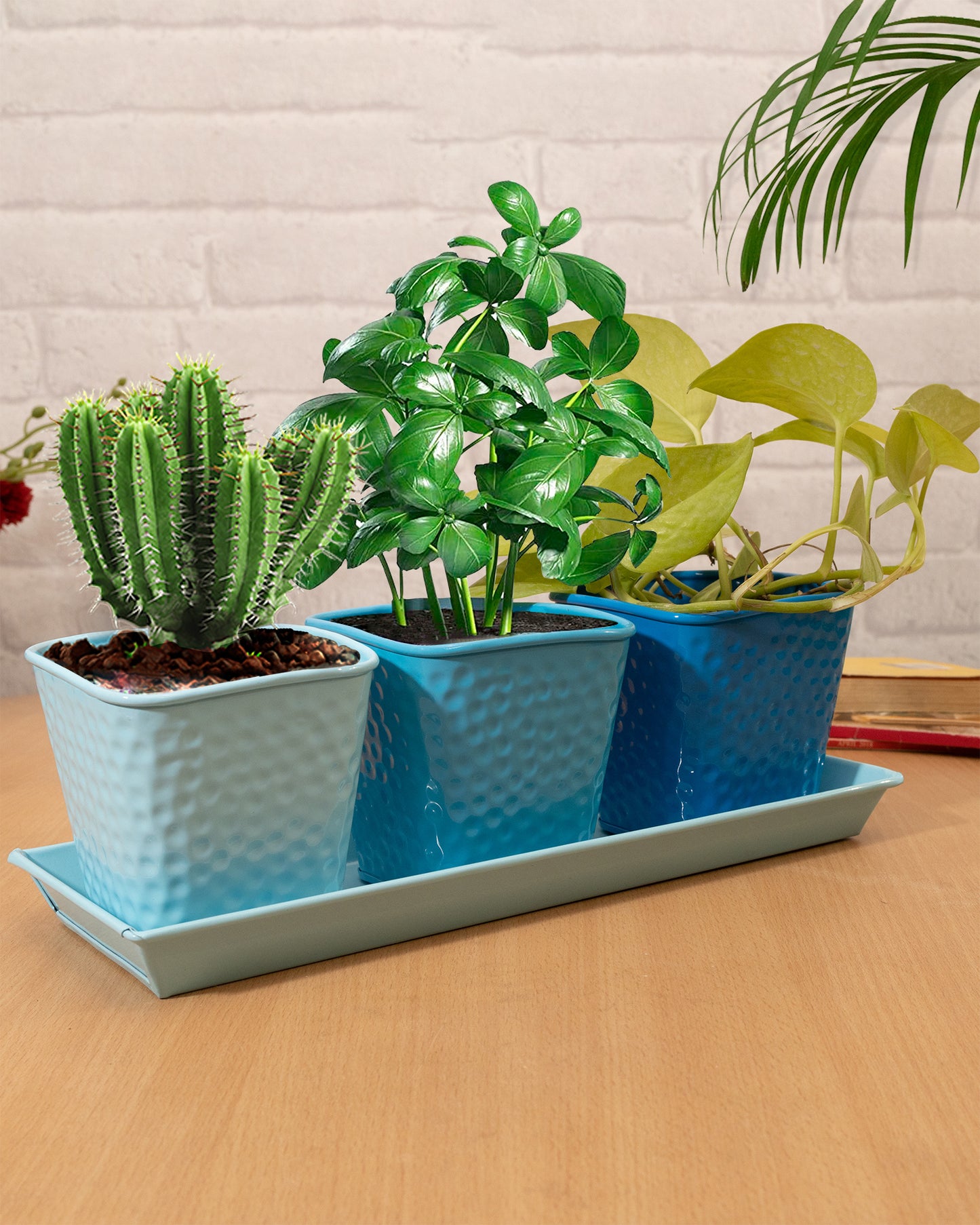 Herb Pot Planter Set with Tray for Indoor Garden or Outdoor Use,Metal Succulent Potted Planters for Kitchen, (Set of 3, 4.25” x 4” Planters on 12.5” x 4" Tray)