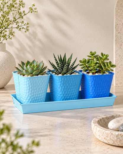 Herb Pot Planter Set with Tray for Indoor Garden or Outdoor Use,Metal Succulent Potted Planters for Kitchen, (Set of 3, 4.25” x 4” Planters on 12.5” x 4" Tray)