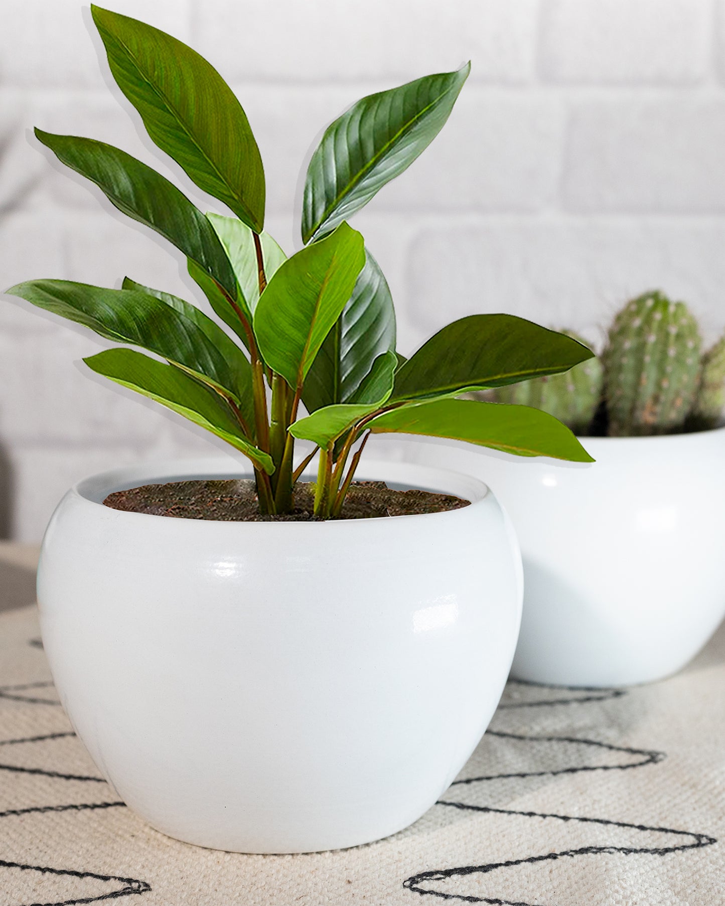 White Metal Flower Pot Succulent Plant Pot Indoor and Outdoor Set of 2