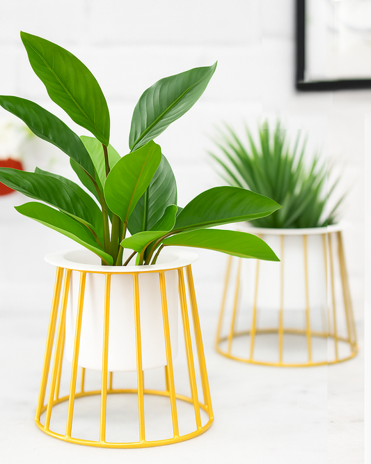 Combo of 2 Table Top Designer Metallic Gold Metal Stand with Planters, Small White Metal Pots for Livingroom, Balcony & Home Decoration, set of 2