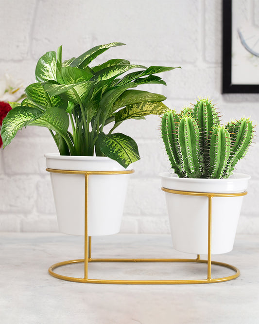 Combo of 2 Table Top Designer Metallic Gold Metal Stand with Planters, Small White Metal Pots for Livingroom, Balcony & Home Decoration, Twin Oval Planter