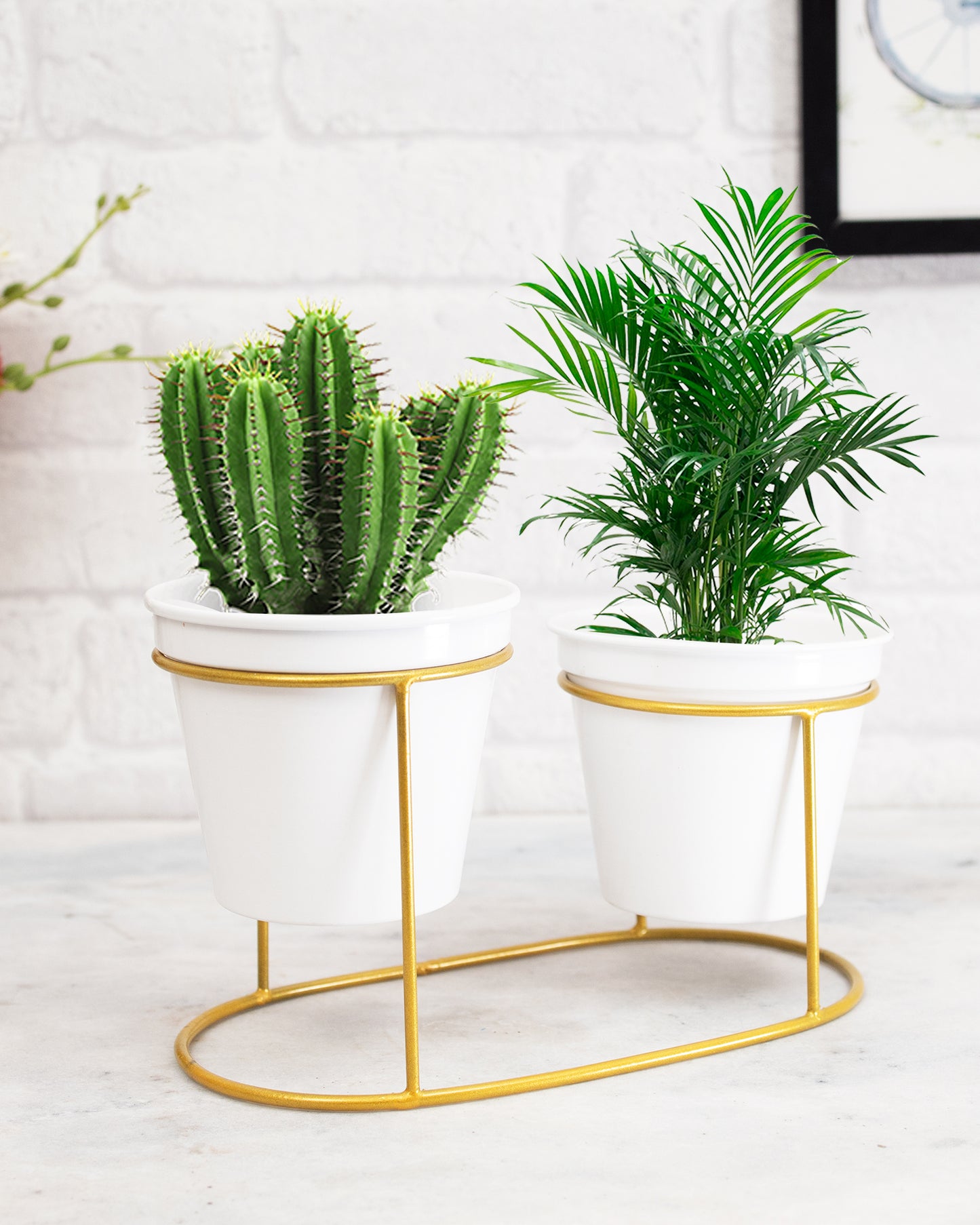 Combo of 2 Table Top Designer Metallic Gold Metal Stand with Planters, Small White Metal Pots for Livingroom, Balcony & Home Decoration, Twin Oval Planter