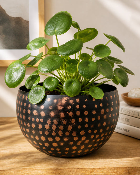 Metal Plant Pot with Hammered Design, Decorative Small Succulent Planter, Bowl