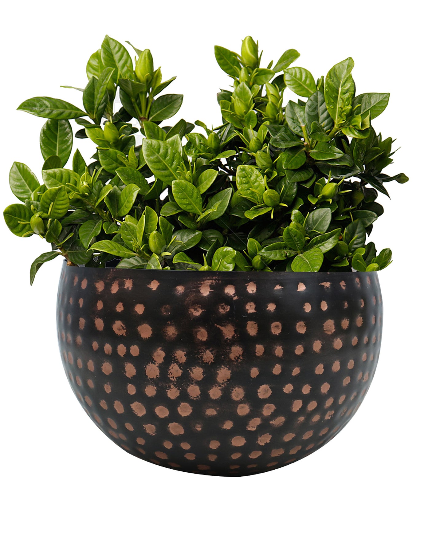 Metal Plant Pot with Hammered Design, Decorative Small Succulent Planter, Bowl
