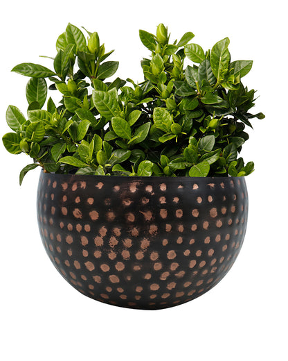 Metal Plant Pot with Hammered Design, Decorative Small Succulent Planter, Bowl