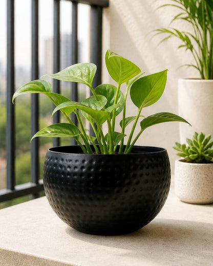 Metal Plant Pot with Hammered Design, Decorative Small Succulent Planter, Bowl