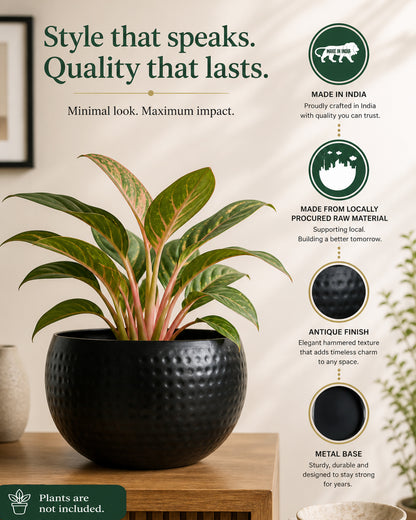 Metal Plant Pot with Hammered Design, Decorative Small Succulent Planter, Bowl