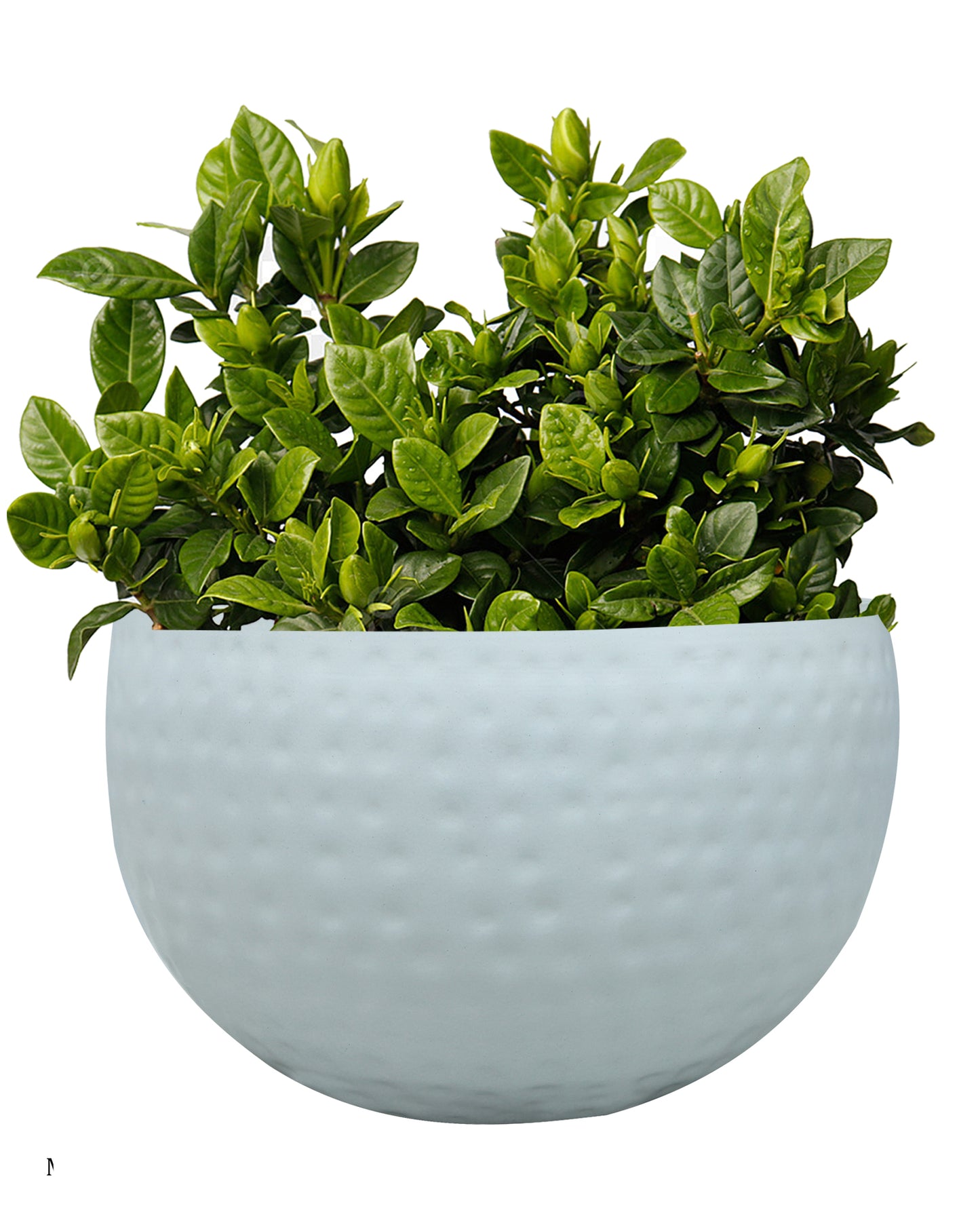 Metal Plant Pot with Hammered Design, Decorative Small Succulent Planter, Bowl