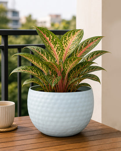 Metal Plant Pot with Hammered Design, Decorative Small Succulent Planter, Bowl