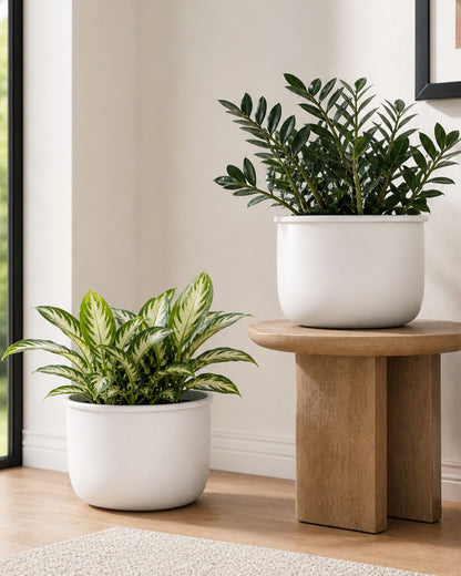 Homesake® Handcrafted Metal Planter Pot – Round Flower Pot, Indoor Outdoor Home & Office Decor, Modern Decorative Pot for Table, Shelf, Balcony, Living Room & Garden (White)